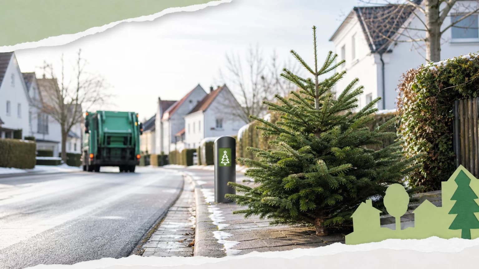 Coburg sucht den perfekten Weihnachtsbaum