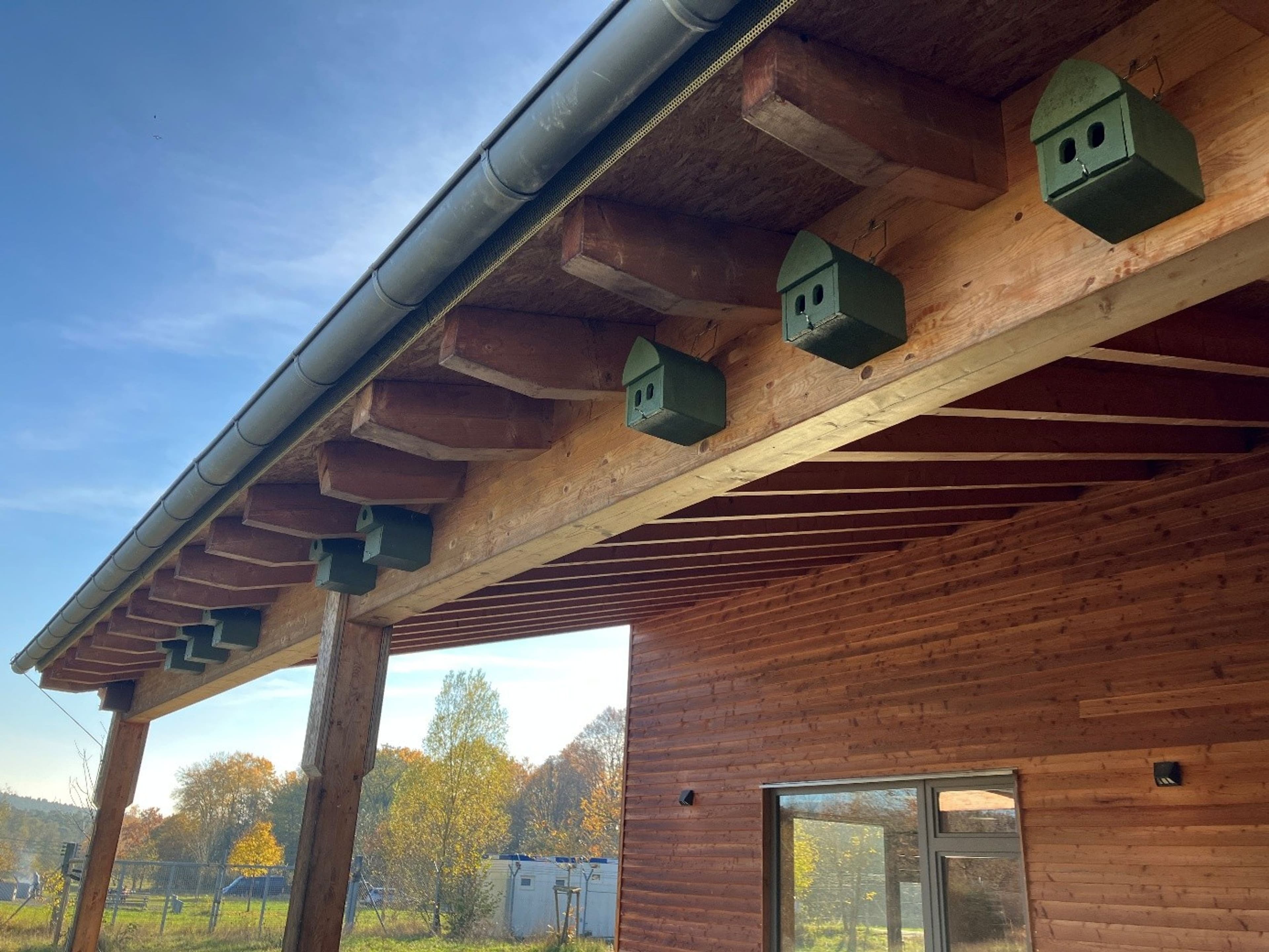 Aschaffenburg macht Gebäude vogelfreundlich