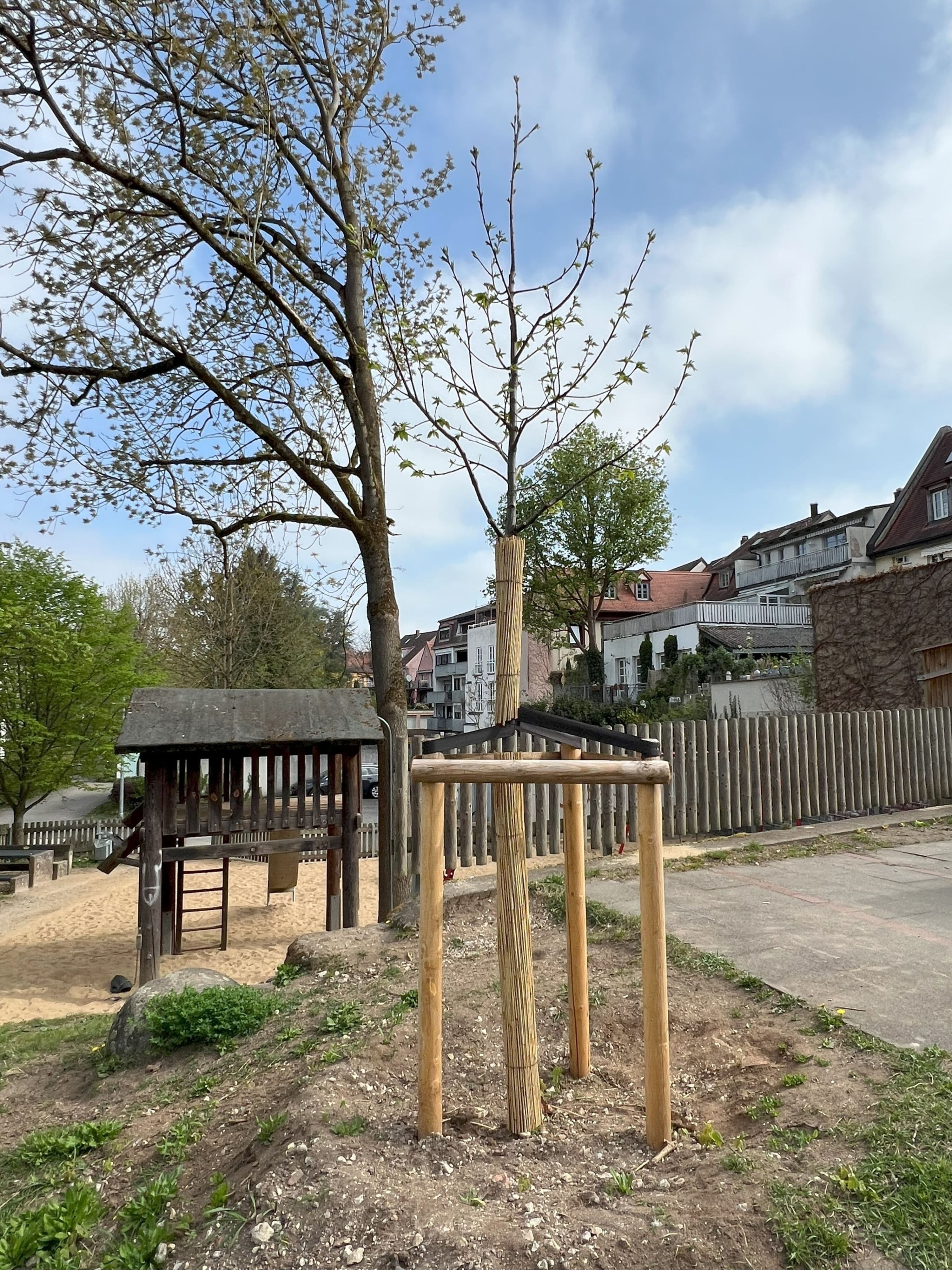 Bamberg macht Stadt grüner