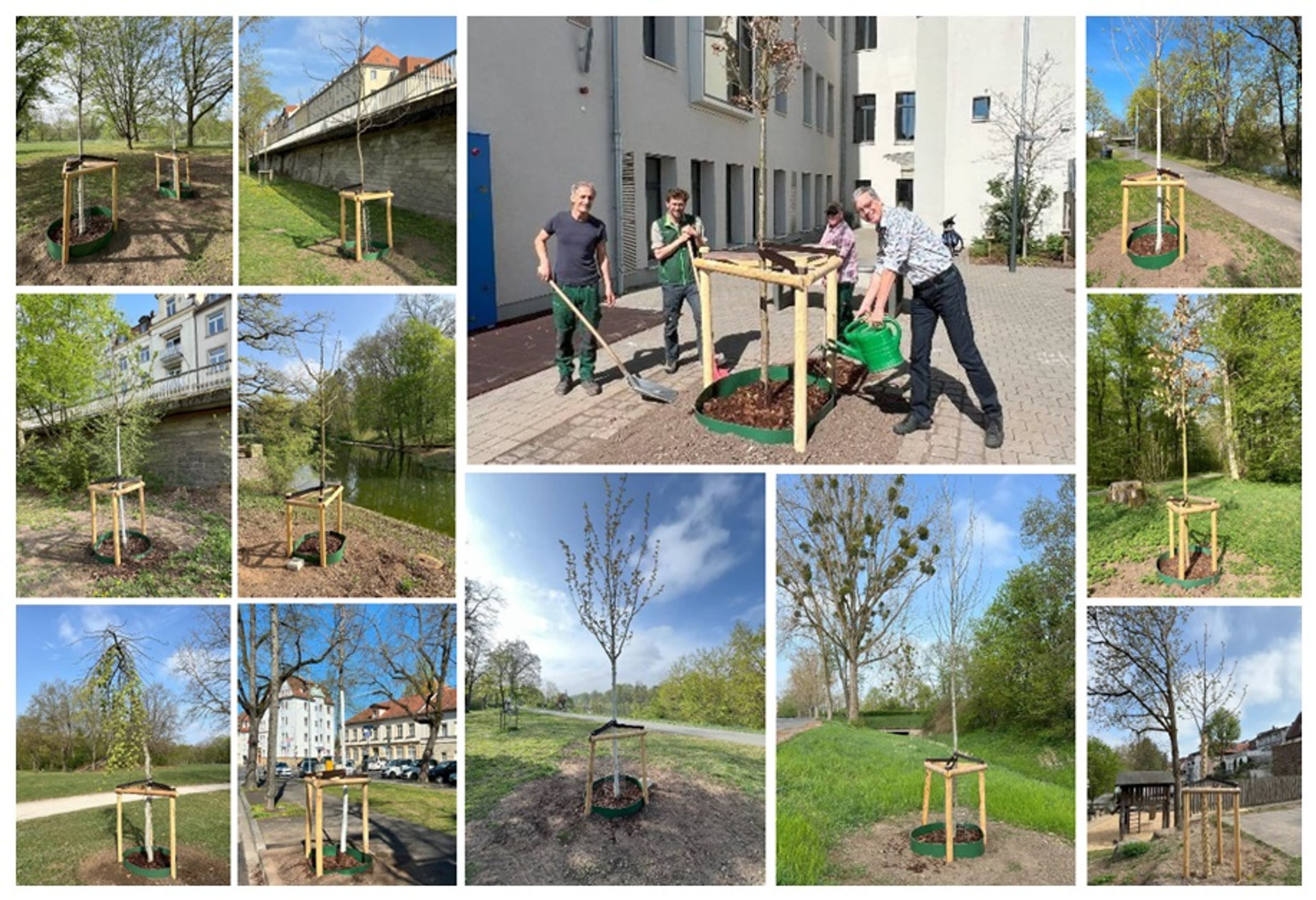 Bamberg macht Stadt grüner