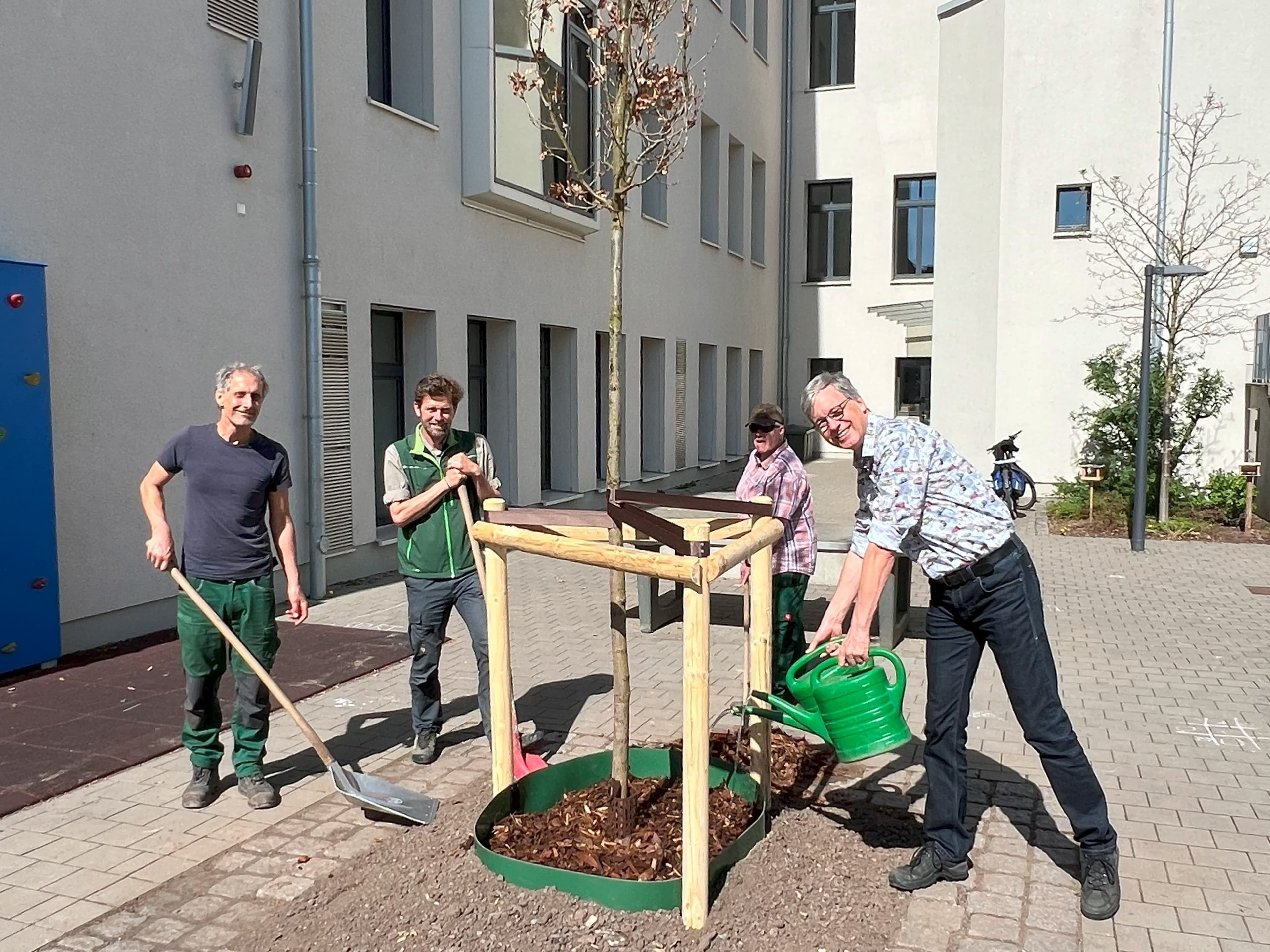 Bamberg macht Stadt grüner