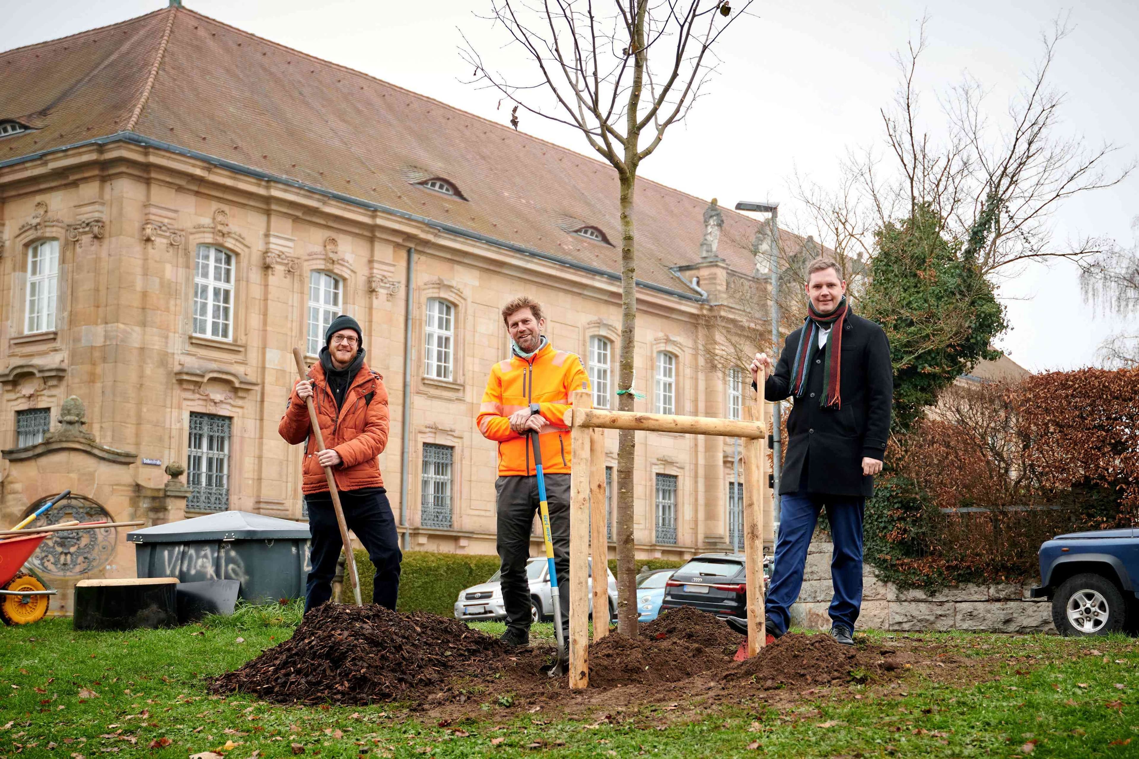 Bamberg pflanzt 1.000 Bäume für mehr Grün