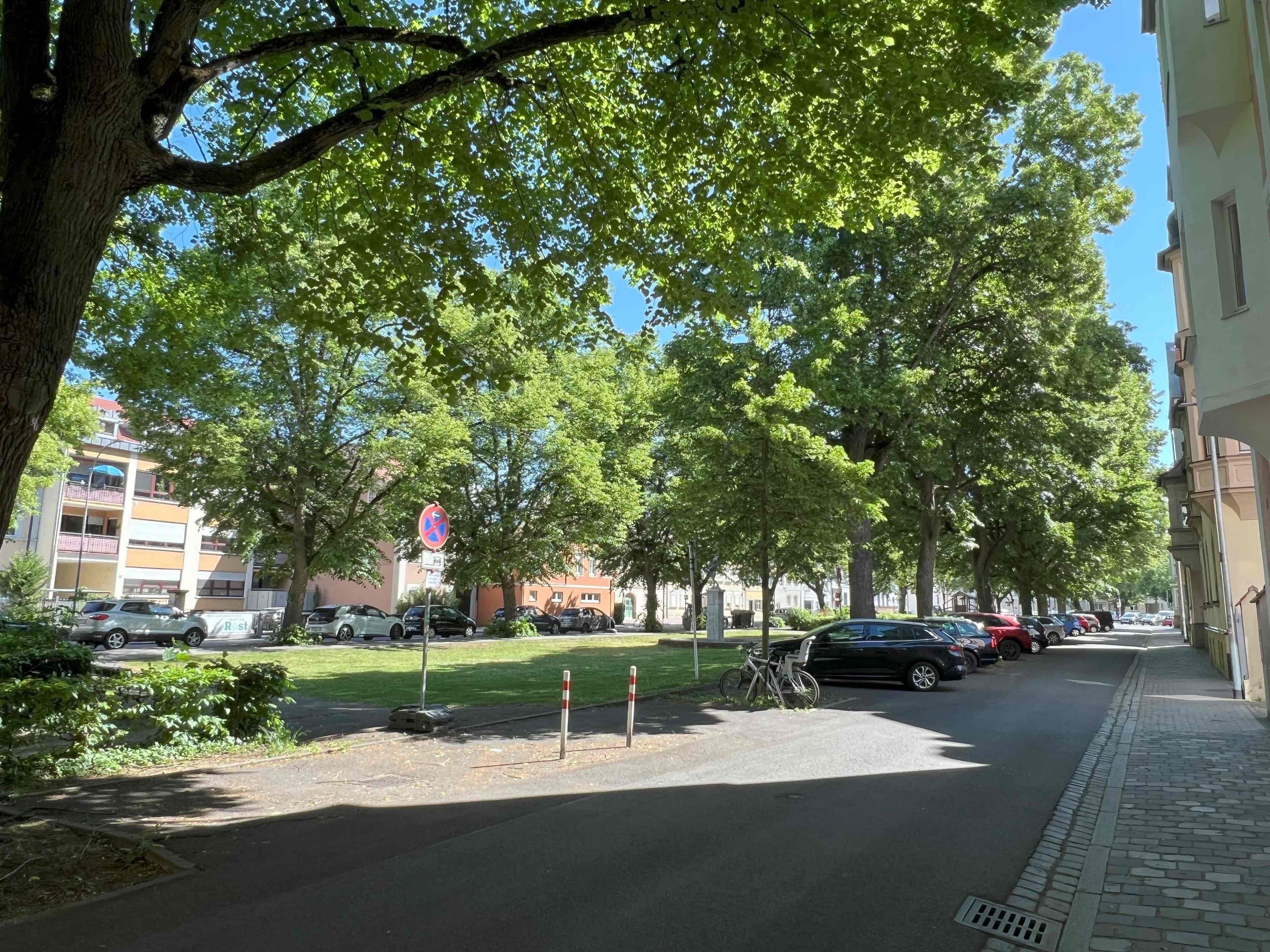 Bamberg sorgt für gesunde Straßenbäume