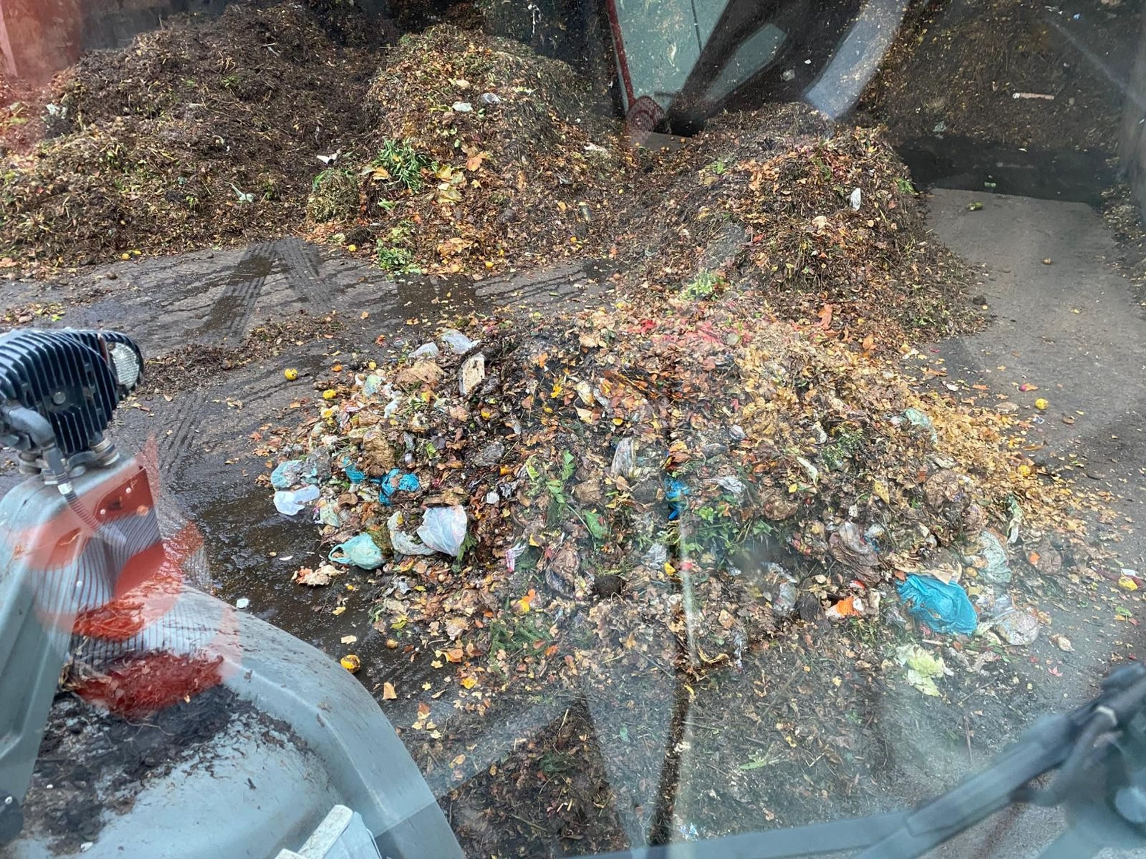 Biomüll in Ansbach: Warum die Tonnen oft falsch gefüllt sind