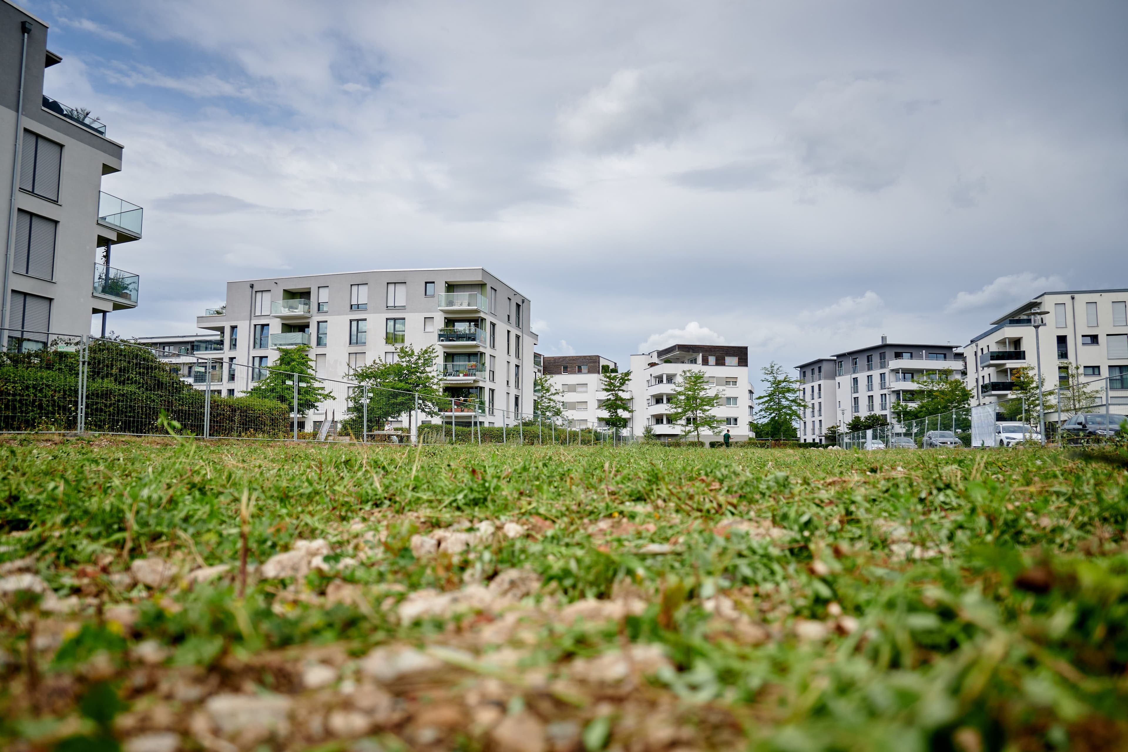 Erba-Park Bamberg wird grüne Oase