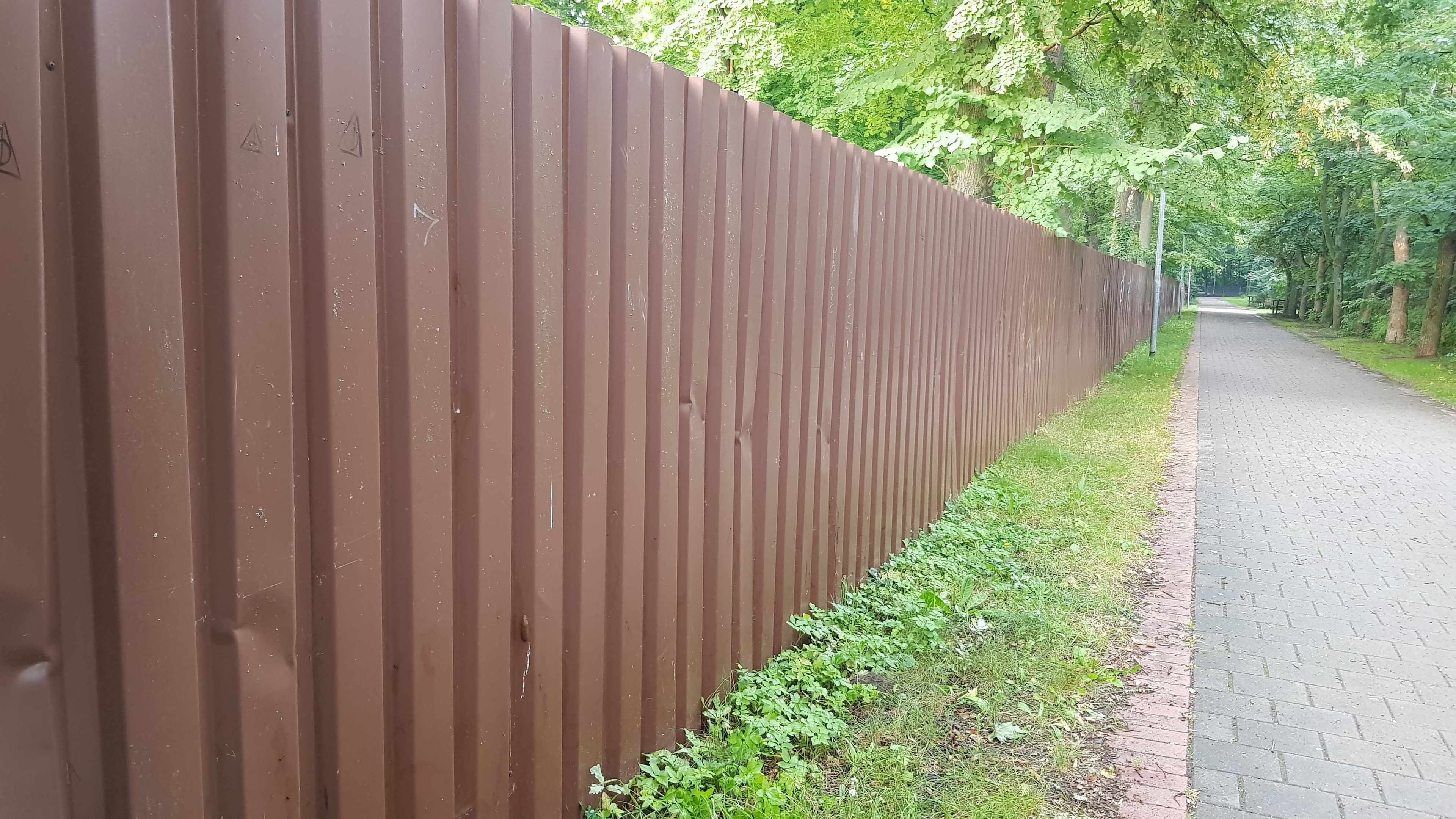 Grüne Oase am Stadionbad: Hecke gepflanzt!