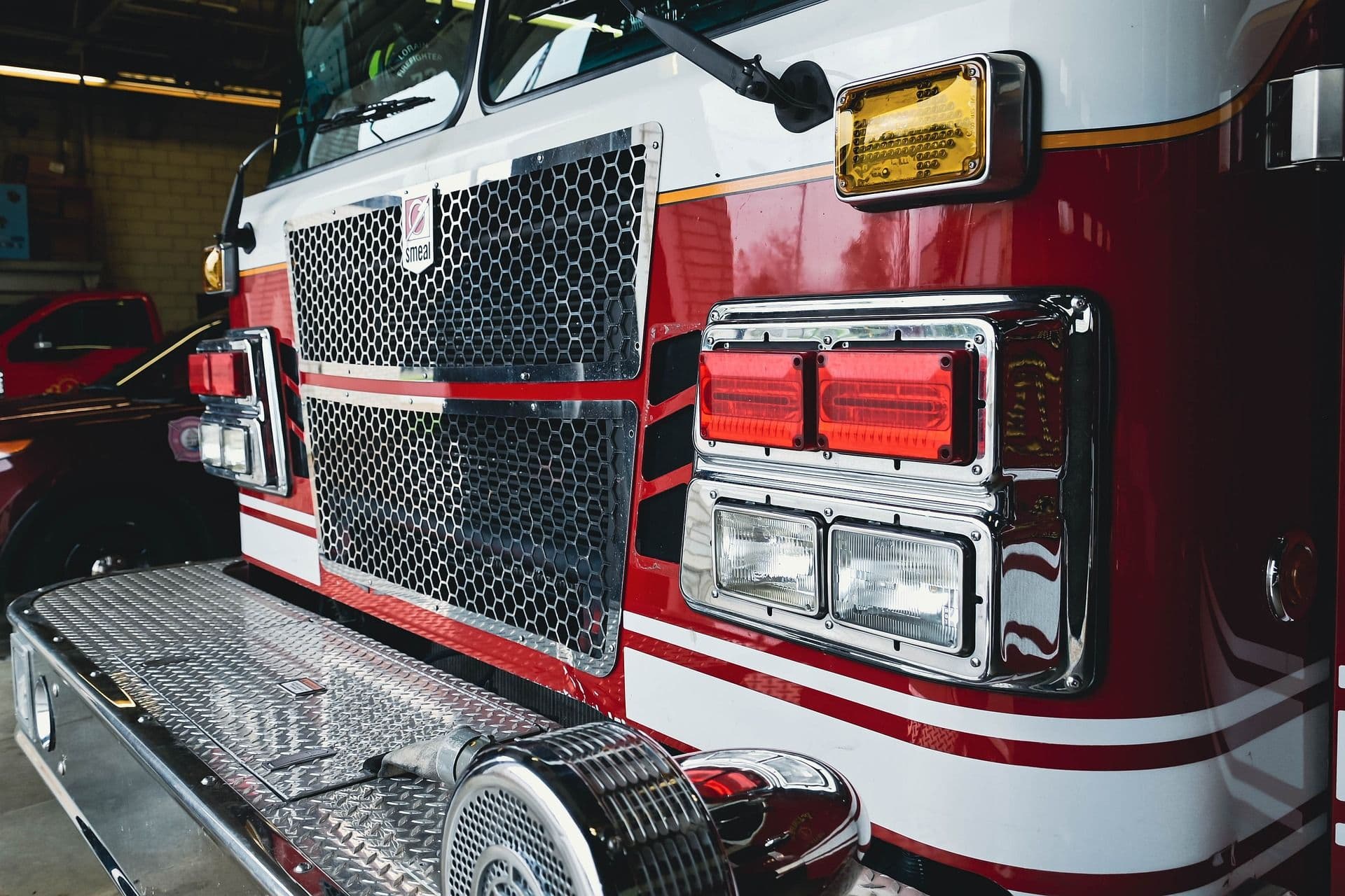 Heldentat der Feuerwehr München: Buntspecht in Not gerettet