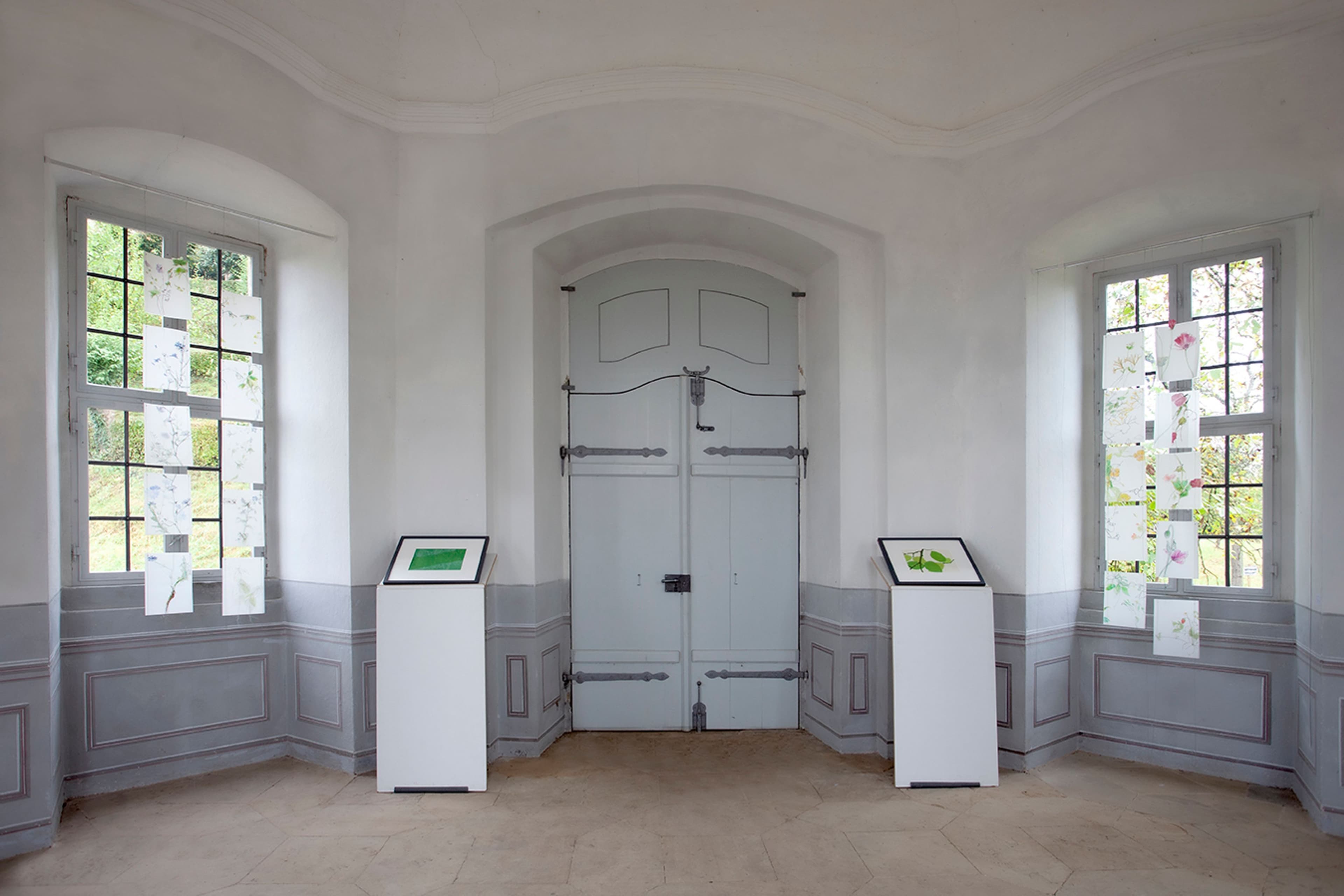 Himmlisch irdisch im Klostergarten