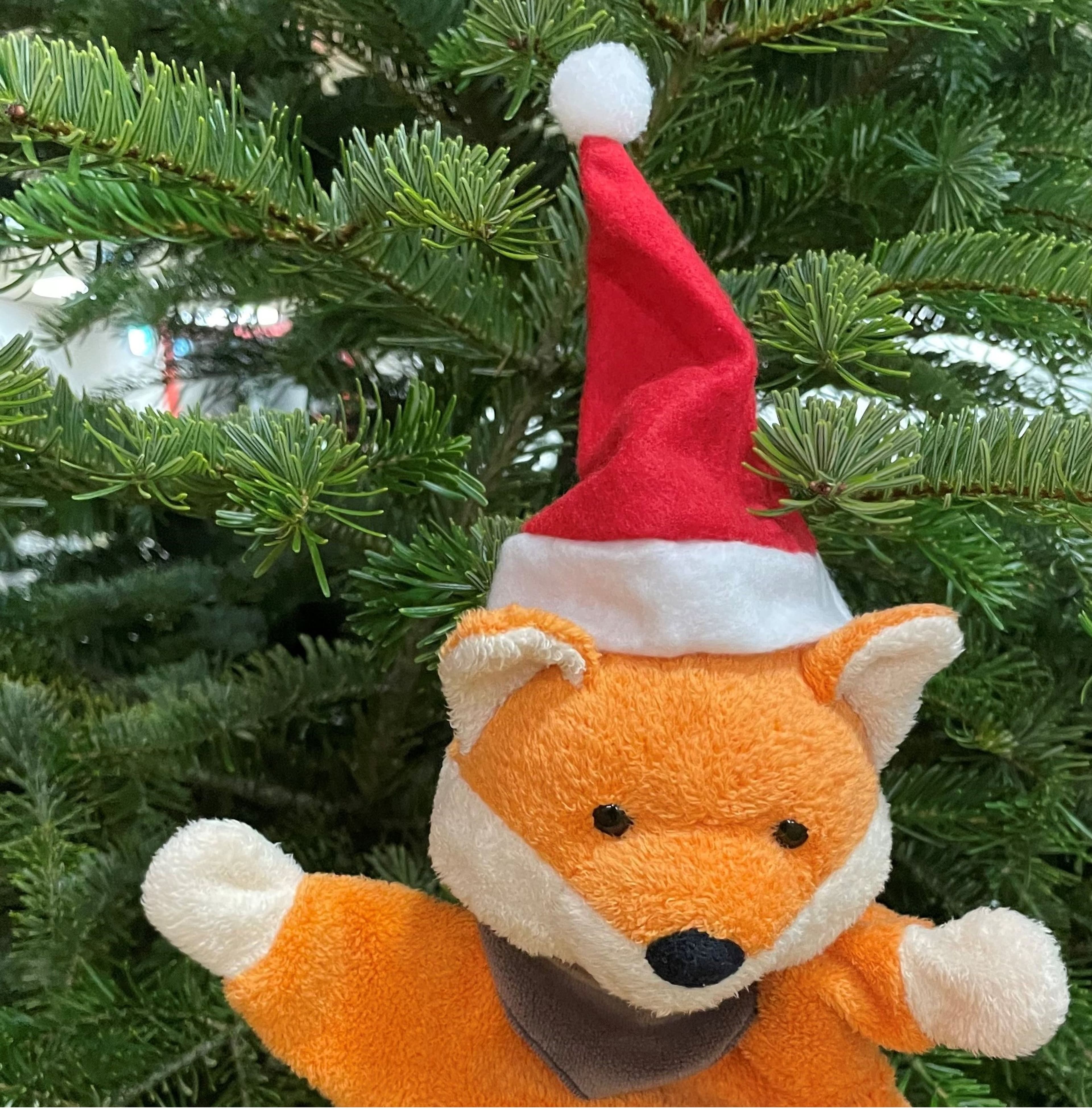 Vorlesenachmittage im Advent: Alt liest für Jung
