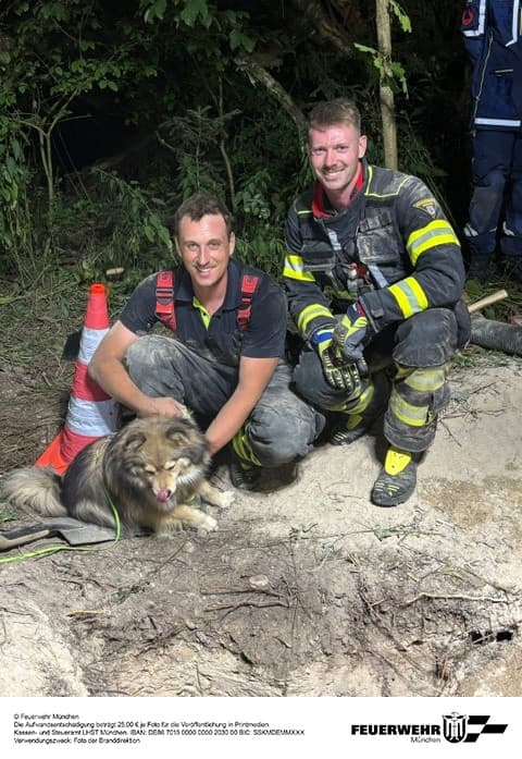 FW-M: Hund verirrt sich in Dachsbau (gemeindefreies Gebiet)