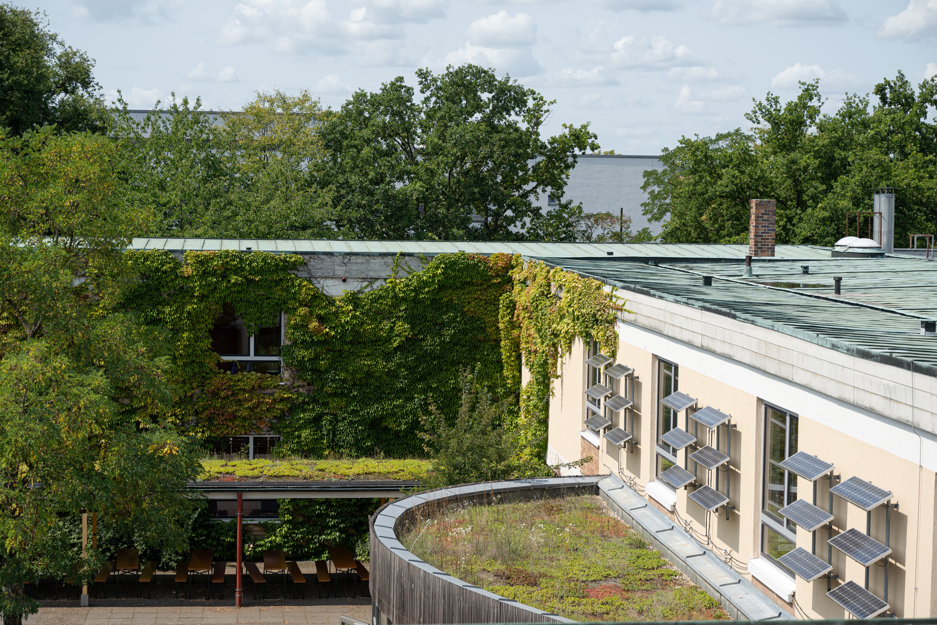 Bambergs Förderreihe „begrünte Gebäude“ startet zum dritten Mal