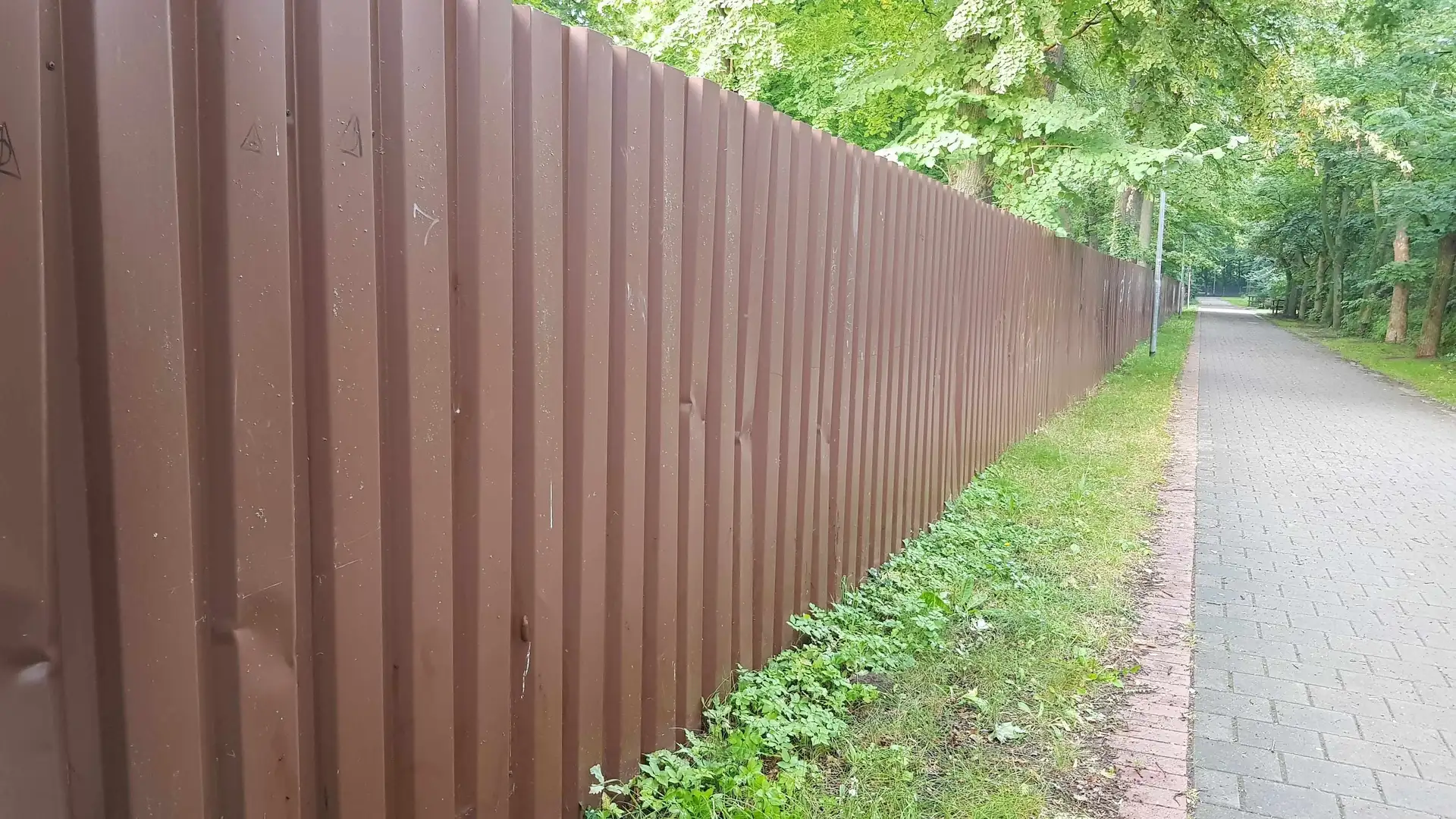 Grüne Oase am Stadionbad: Hecke gepflanzt!