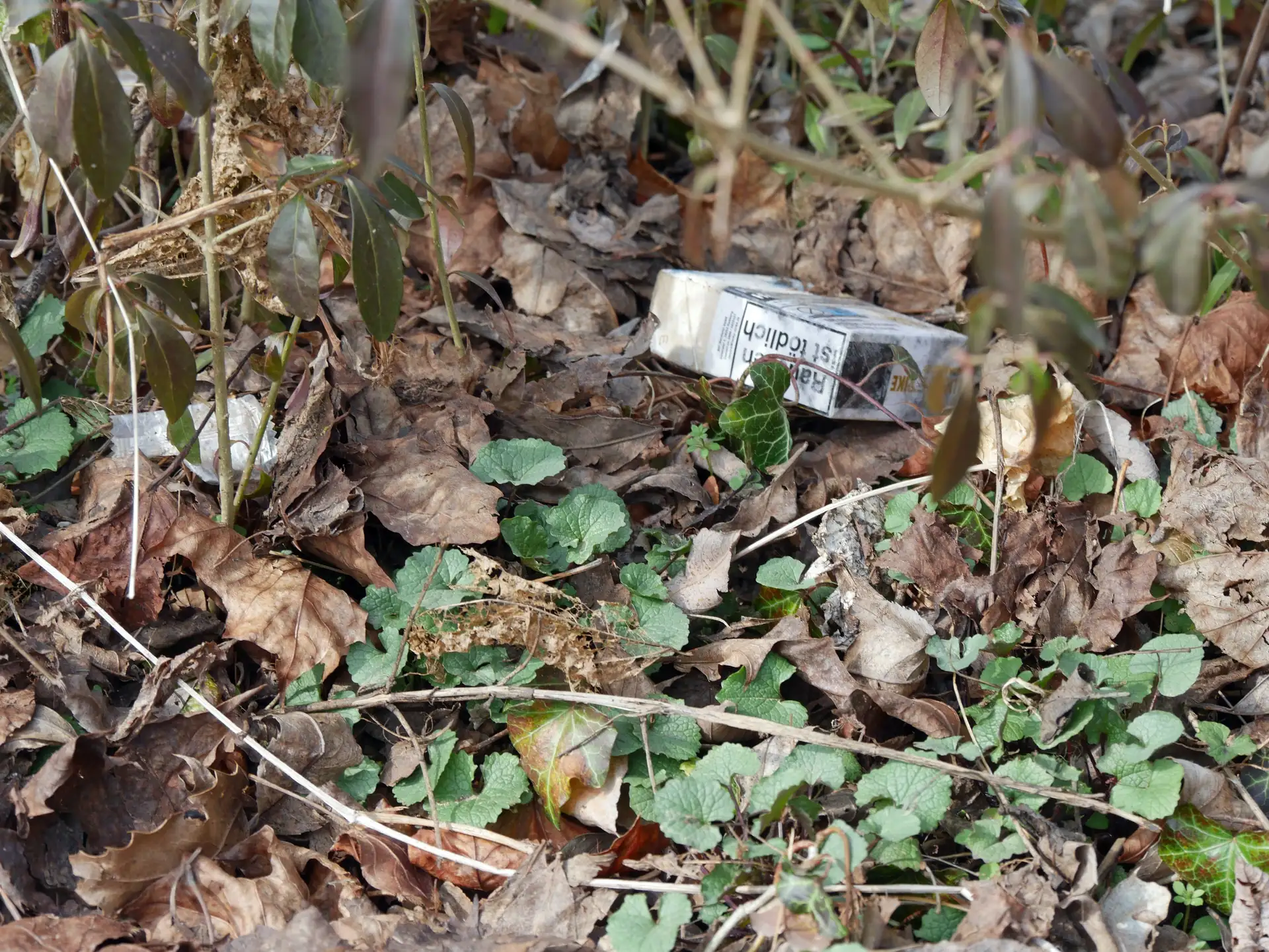 Gunzenhausen startet großen Frühjahrputz