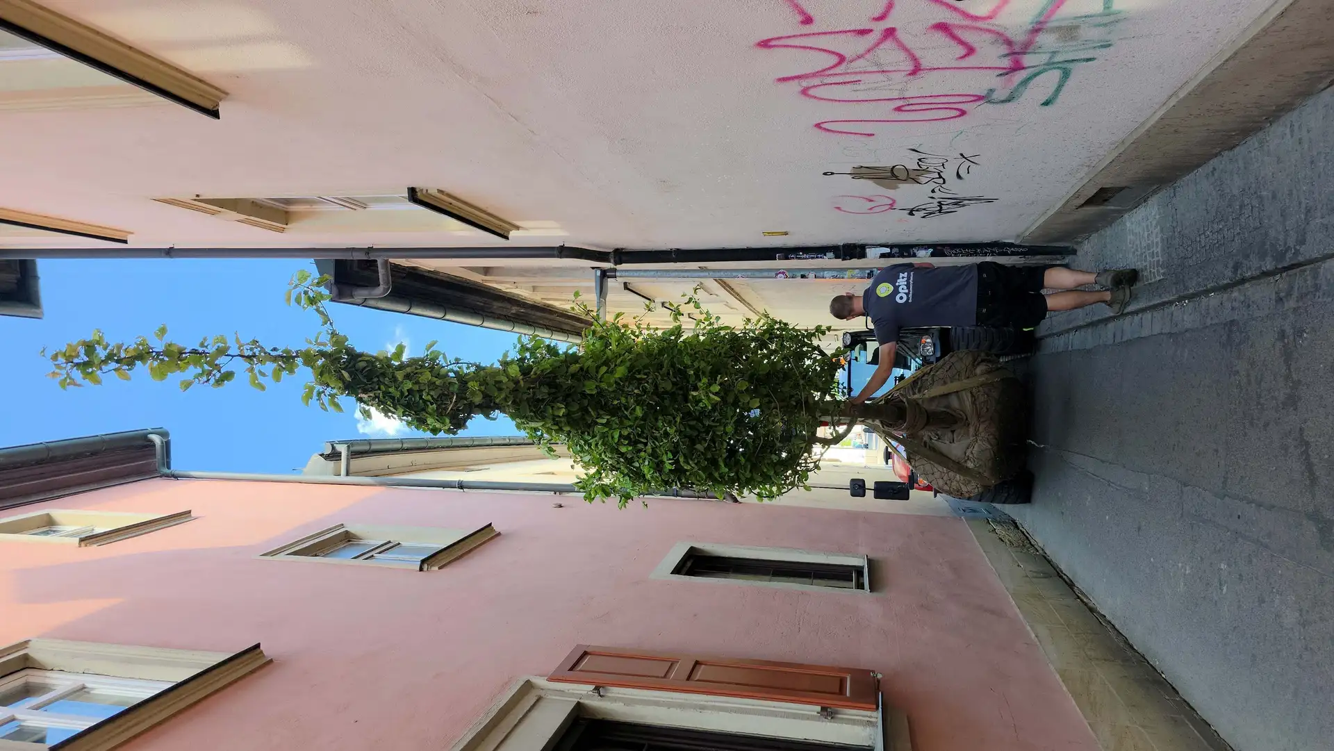Neue Streuobstwiese im Bamberger Gärtnerviertel