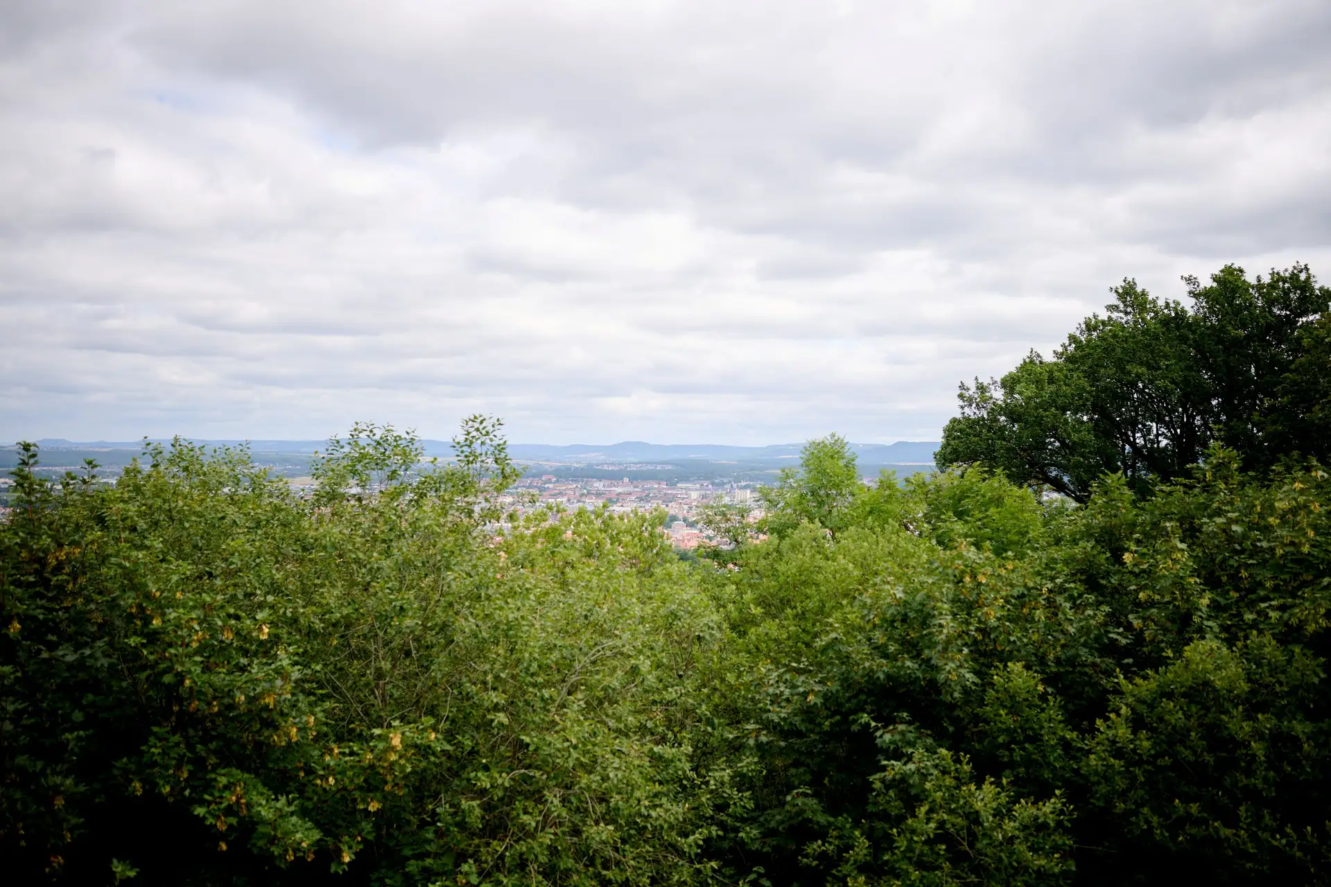 Blick durch den Altenburger Wald: Zwischen den Bäumen öffnet sich die Sicht auf Bamberg und die umliegende Landschaft. Im Rahmen des Projekts sollen historische Sichtachsen zur Altenburg schrittweise wiederhergestellt und zugleich wertvolle Lebensräume für seltene Tier- und Pflanzenarten erhalten und entwickelt werden.