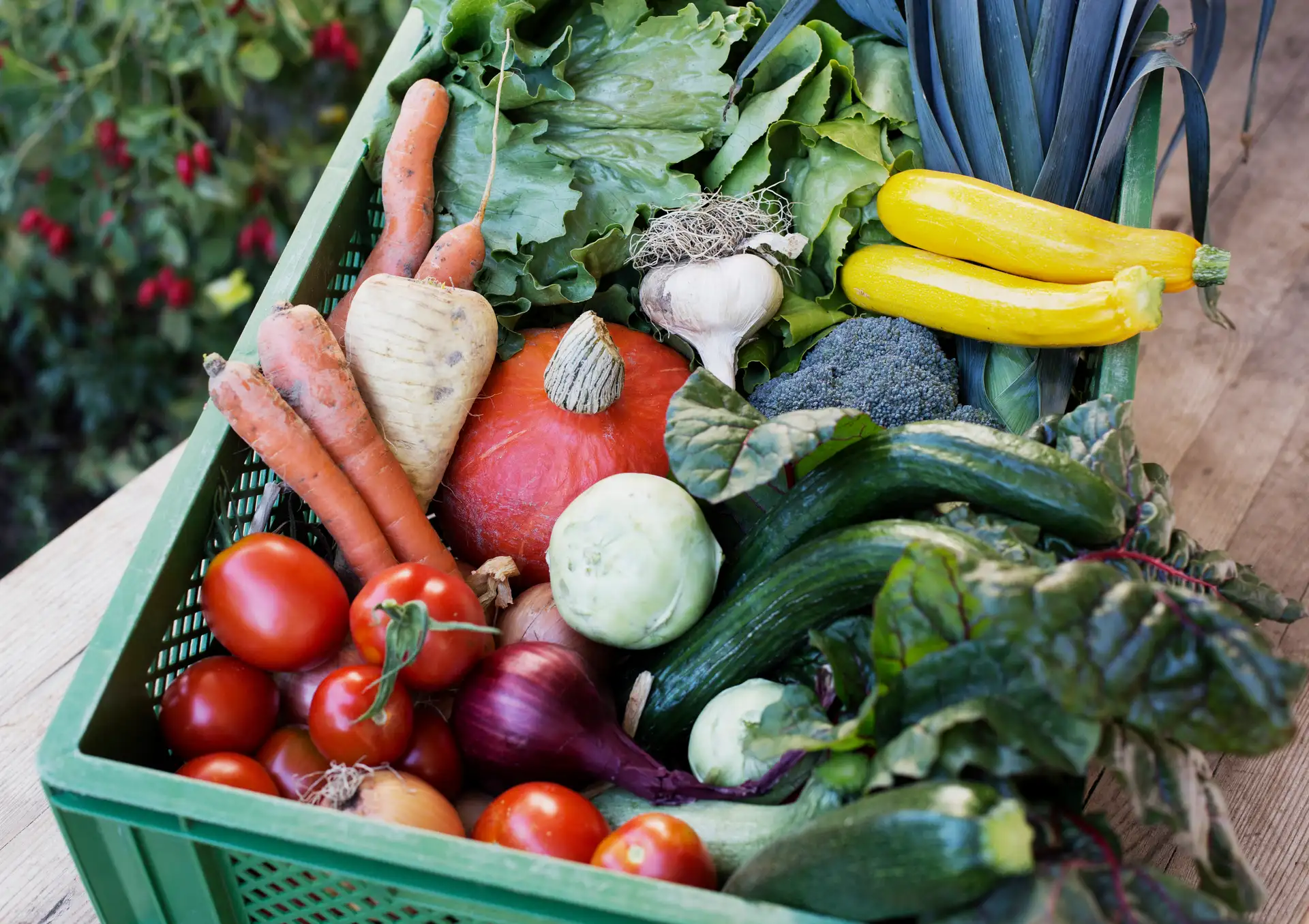 Bio und regional frisch gekocht auf dem Teller – einfach und lecker: Die Öko-Modellregion stadt.land.wü. lädt im Oktober mit der RegioPlus-Challenge zum Entdecken und Ausprobieren regionaler Lebensmittel ein.