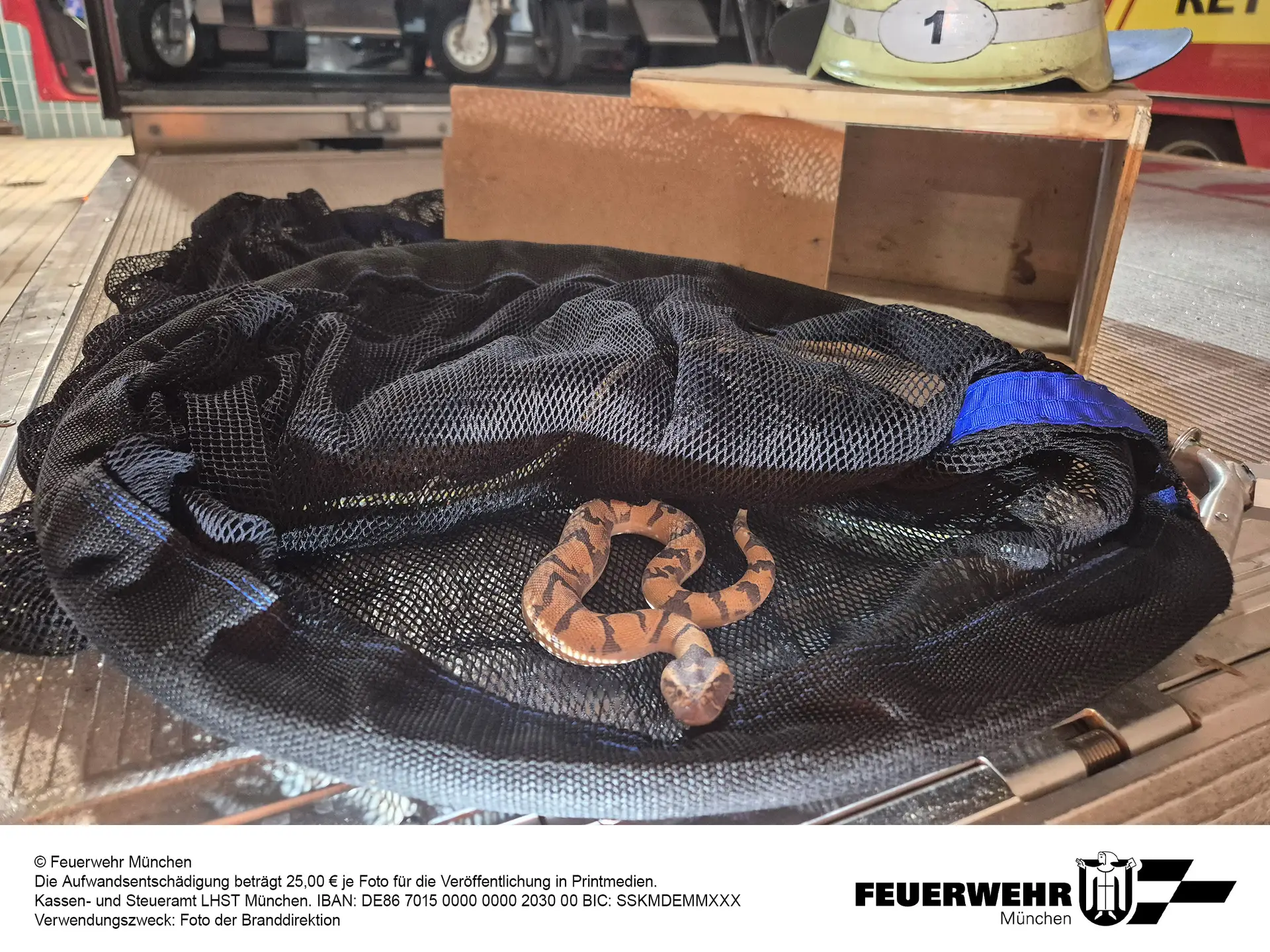 FW-M: Täuschend echte "Giftschlange" im Münchner Süden (Untergiesing-Harlaching)
