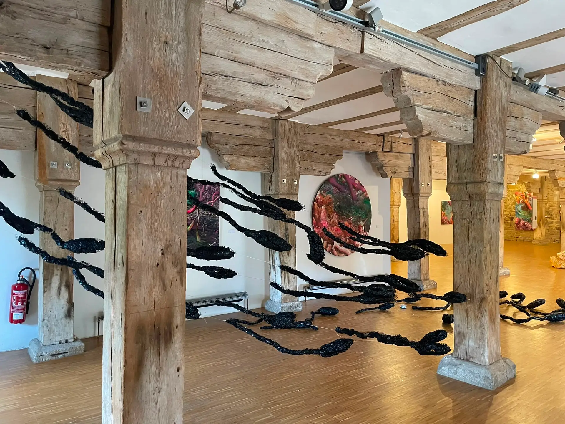 Ferienprogramm im Kloster Wechterswinkel: Kreativwerkstatt zur Ausstellung „Nach der Natur“