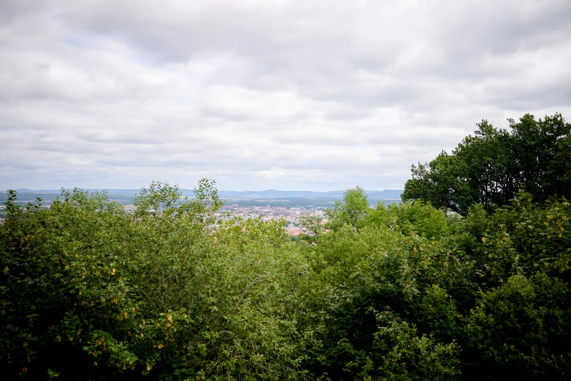 Blick durch den Altenburger Wald: Zwischen den Bäumen öffnet sich die Sicht auf Bamberg und die umliegende Landschaft. Im Rahmen des Projekts sollen historische Sichtachsen zur Altenburg schrittweise wiederhergestellt und zugleich wertvolle Lebensräume für seltene Tier- und Pflanzenarten erhalten und entwickelt werden.