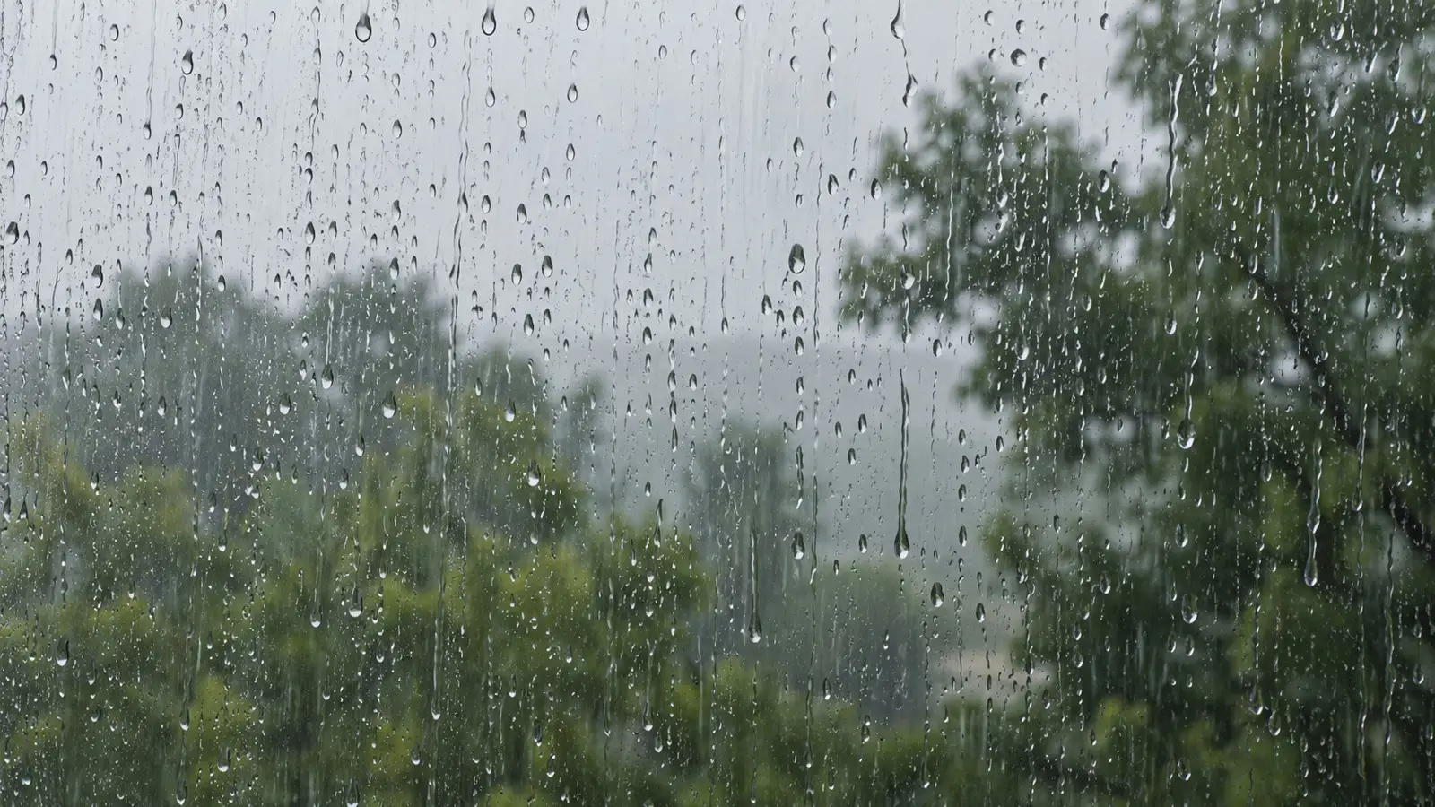 Dauerregen: Regen an einer Fensterscheibe. Generisches Motiv ohne erkennbaren Aufnahmeort.